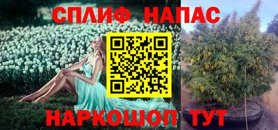 трава Будённовск
