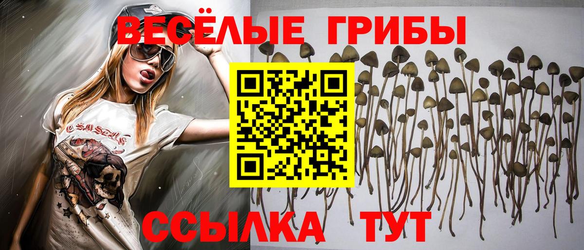 Галлюциногенные грибы ЛСД Ленинск-Кузнецкий