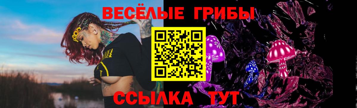 Ленинск-Кузнецкий  купить  сайты  Вход с VPN  Галлюциногенные грибы мухоморы 